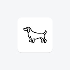 Dachshund, vector, pixel perfect, illustrator file
