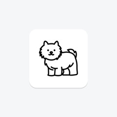 Shih Tzu, vector, pixel perfect, illustrator file