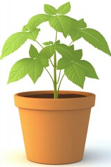 Fototapeta premium Potted Plant Growing Indoors Still Life Close Up on White Background Simple Studio Shot Minimalist Style