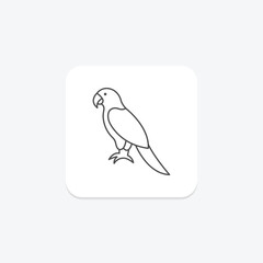 Parrot, vector, pixel perfect, illustrator file