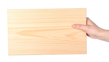 Human hand holding blank wooden sign isolated on white