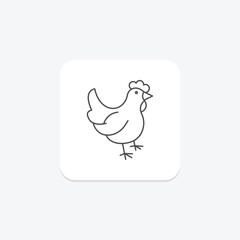 Chicken, vector, pixel perfect, illustrator file