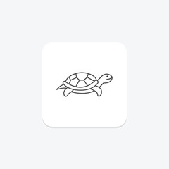 Fototapeta premium Red Eared Slider, vector, pixel perfect, illustrator file