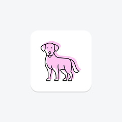 Labrador Retriever, vector, pixel perfect, illustrator file