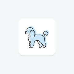 Poodle, vector, pixel perfect, illustrator file