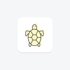Tortoise, vector, pixel perfect, illustrator file