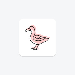 Duck, vector, pixel perfect, illustrator file