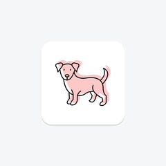 Cocker Spaniel, vector, pixel perfect, illustrator file