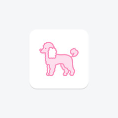 Poodle, vector, pixel perfect, illustrator file