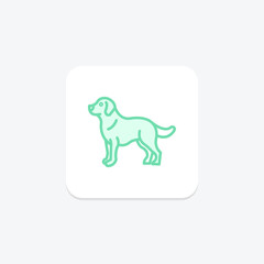 Golden Retriever, vector, pixel perfect, illustrator file