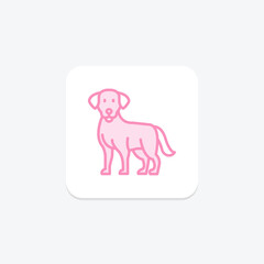 Labrador Retriever, vector, pixel perfect, illustrator file