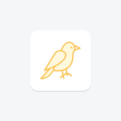 Canary, vector, pixel perfect, illustrator file