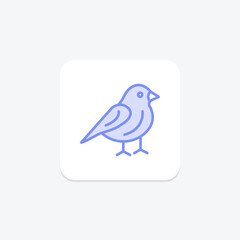 Finch, vector, pixel perfect, illustrator file