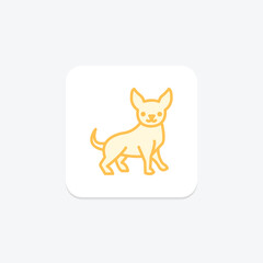 Fototapeta premium Chihuahua, vector, pixel perfect, illustrator file