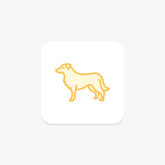 Border Collie, vector, pixel perfect, illustrator file