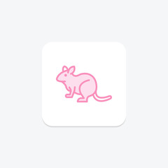 Degu, vector, pixel perfect, illustrator file
