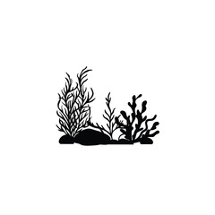 Seaweed plant and rocks silhouette on white background