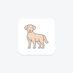Labrador Retriever, vector, pixel perfect, illustrator file
