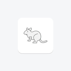 Degu, vector, pixel perfect, illustrator file