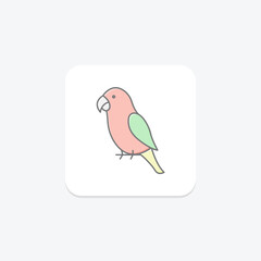 Peach Faced Lovebird, vector, pixel perfect, illustrator file