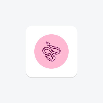 Ball Python, vector, pixel perfect, illustrator file