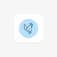 Chicken, vector, pixel perfect, illustrator file