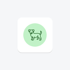 Cocker Spaniel, vector, pixel perfect, illustrator file