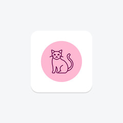 Birman Cat, vector, pixel perfect, illustrator file