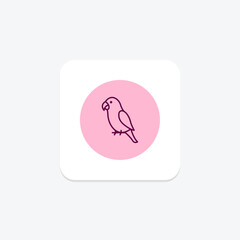 Peach Faced Lovebird, vector, pixel perfect, illustrator file