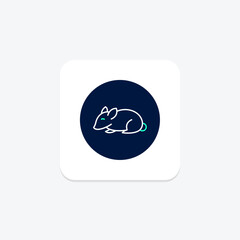 Chinchilla, vector, pixel perfect, illustrator file
