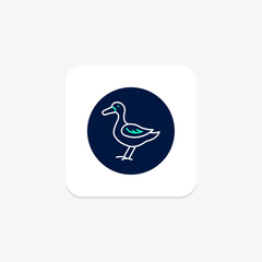Duck, vector, pixel perfect, illustrator file