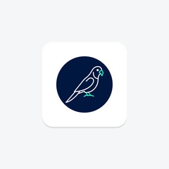 Quaker Parrot, vector, pixel perfect, illustrator file