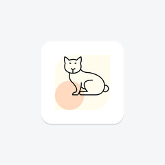 Siamese Cat, vector, pixel perfect, illustrator file