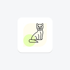 Ragdoll Cat, vector, pixel perfect, illustrator file