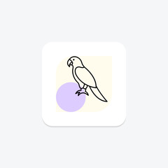 Parrot, vector, pixel perfect, illustrator file