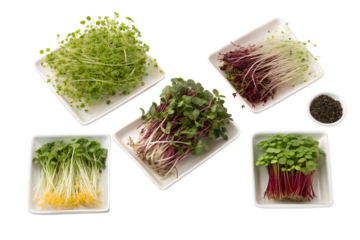 Isolated on white, a healthy green tea set with fresh leaves offers a delicious and organic way to enjoy a vegetarian meal