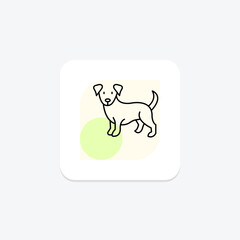 Cocker Spaniel, vector, pixel perfect, illustrator file
