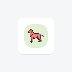 Golden Retriever, vector, pixel perfect, illustrator file