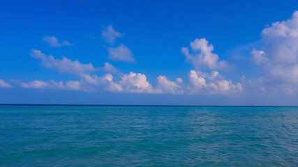 The summer vacation background with Nature on the beach and sea  blue water  summer