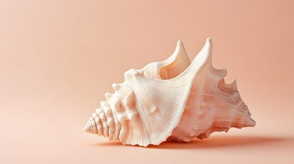 Minimal cartoon conch shell on light peach background, simple lines and soft tones
