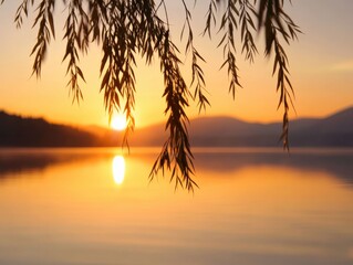 Willow branches at golden sunset