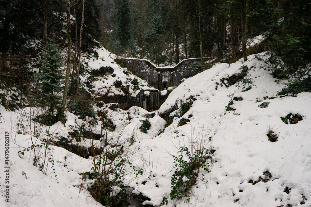 Poster a snowy forest with a small stream running through it