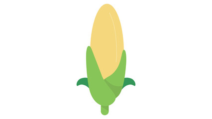 Sweetcorn ear of maize delicious harvest vector illustration fresh food design