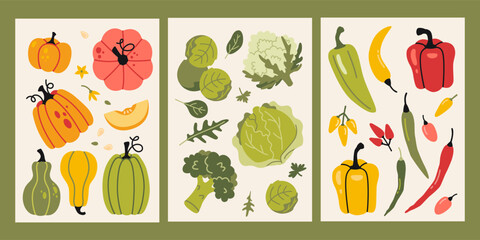 Vertical cards with pumpkins, cabbage, broccoli, Brussels sprouts, arugula, spinach and peppers. Healthy eating, vitamins and natural nutrition. Trendy modern vector illustrations, flat