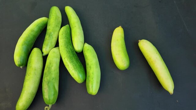 Placing Ivy Gourds , A Touch of Green Freshness
