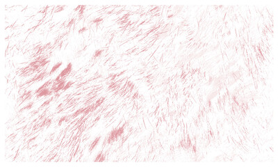 fur feather texture 2