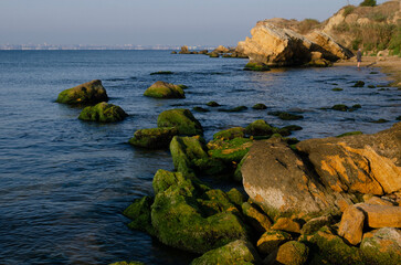 seashore with rocks among which water flows with open sea
