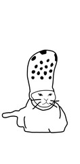 cat wearing sandal hat meme
