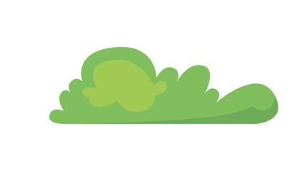 Lush green shrubbery perfect for vibrant nature scenes adding life and beauty to your designs