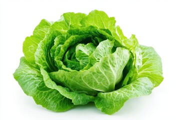 Obraz premium Head Lettuce. Fresh Green Cabbage Lettuce Isolated on White Background